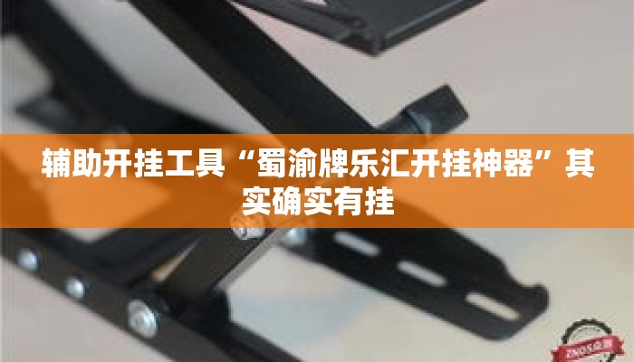 辅助开挂工具“蜀渝牌乐汇开挂神器	”其实确实有挂
