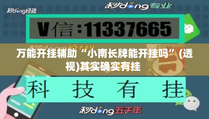 万能开挂辅助“小南长牌能开挂吗”(透视)其实确实有挂 