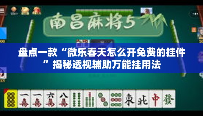 盘点一款“微乐春天怎么开免费的挂件”揭秘透视辅助万能挂用法