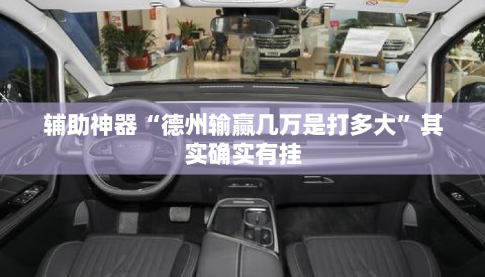 辅助神器“德州输赢几万是打多大”其实确实有挂