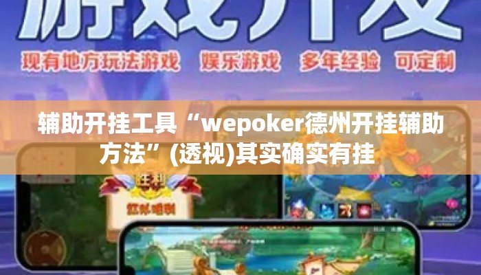 辅助开挂工具“wepoker德州开挂辅助方法”(透视)其实确实有挂 