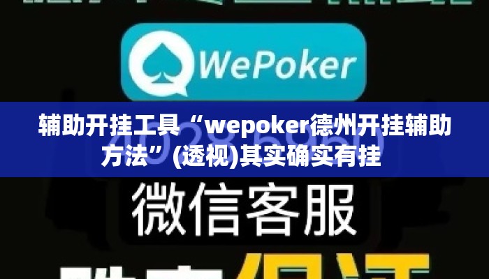 辅助开挂工具“wepoker德州开挂辅助方法	”(透视)其实确实有挂 