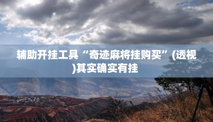 辅助开挂工具“奇迹麻将挂购买”(透视)其实确实有挂 