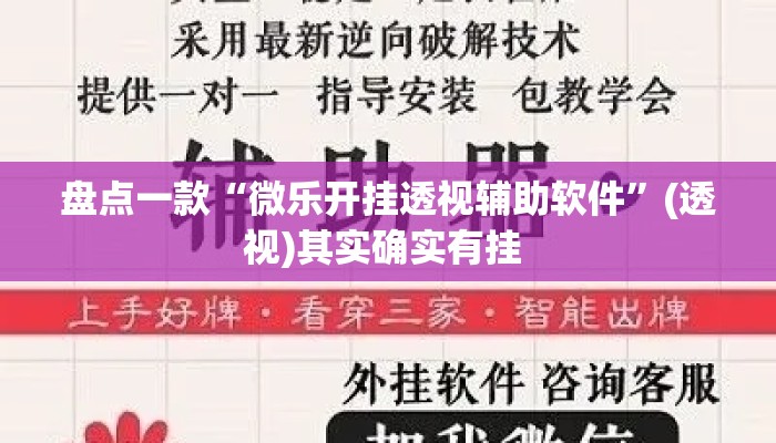 盘点一款“微乐开挂透视辅助软件”(透视)其实确实有挂 