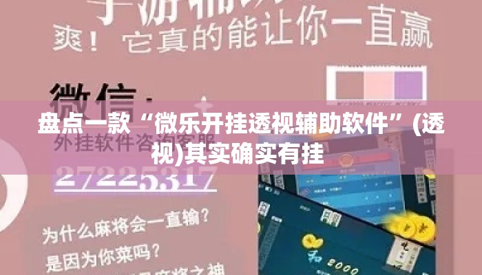 盘点一款“微乐开挂透视辅助软件	”(透视)其实确实有挂 