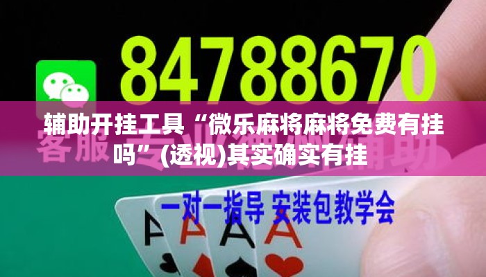 辅助开挂工具“微乐麻将麻将免费有挂吗”(透视)其实确实有挂 