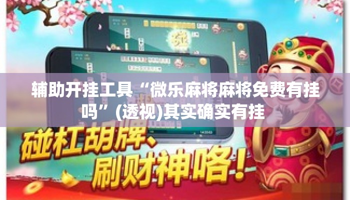 辅助开挂工具“微乐麻将麻将免费有挂吗	”(透视)其实确实有挂 