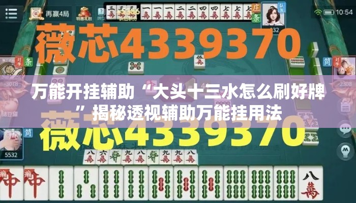 万能开挂辅助“大头十三水怎么刷好牌”揭秘透视辅助万能挂用法