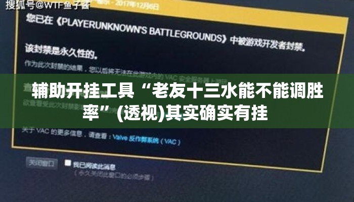辅助开挂工具“老友十三水能不能调胜率”(透视)其实确实有挂 