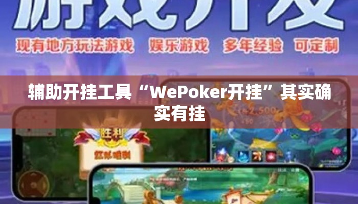 辅助开挂工具“WePoker开挂	”其实确实有挂