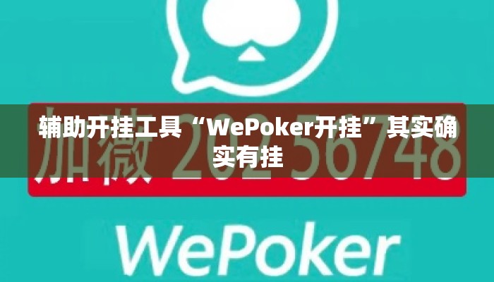 辅助开挂工具“WePoker开挂	”其实确实有挂