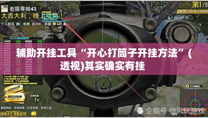 辅助开挂工具“开心打筒子开挂方法”(透视)其实确实有挂 