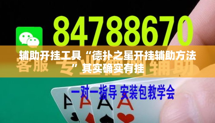 辅助开挂工具“德扑之星开挂辅助方法”其实确实有挂