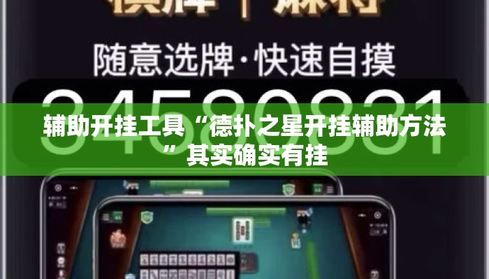 辅助开挂工具“德扑之星开挂辅助方法”其实确实有挂