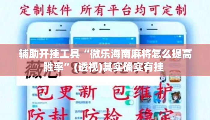 辅助开挂工具“微乐海南麻将怎么提高胜率	”(透视)其实确实有挂 