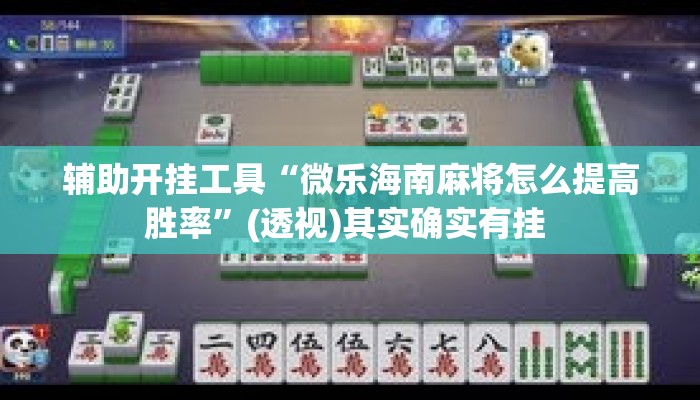 辅助开挂工具“微乐海南麻将怎么提高胜率”(透视)其实确实有挂 