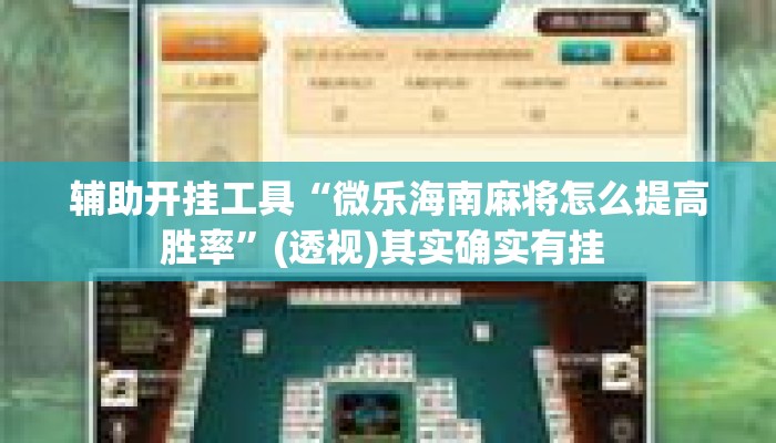 辅助开挂工具“微乐海南麻将怎么提高胜率”(透视)其实确实有挂 