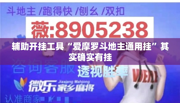 辅助开挂工具“爱摩罗斗地主通用挂”其实确实有挂