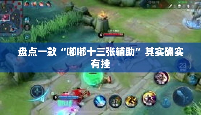 盘点一款“嘟嘟十三张辅助	”其实确实有挂