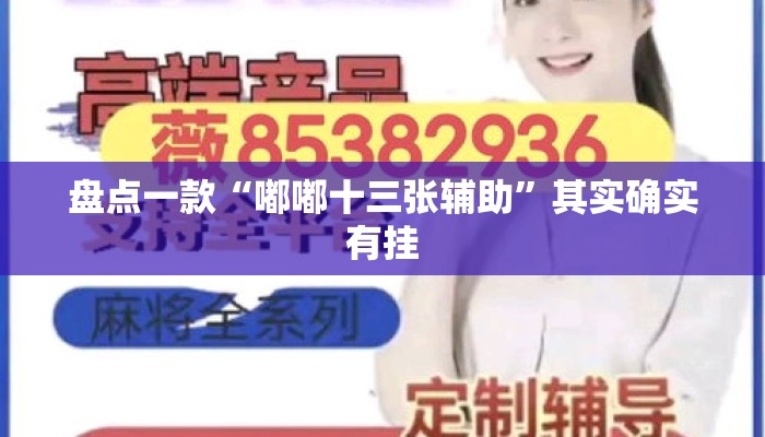 盘点一款“嘟嘟十三张辅助”其实确实有挂