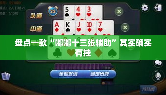 盘点一款“嘟嘟十三张辅助”其实确实有挂