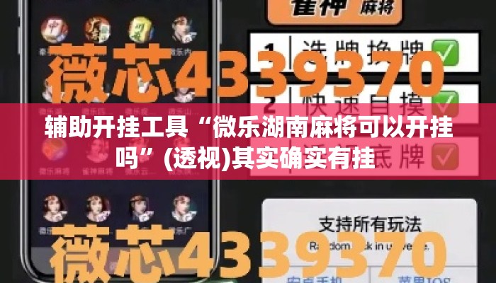 辅助开挂工具“微乐湖南麻将可以开挂吗”(透视)其实确实有挂 