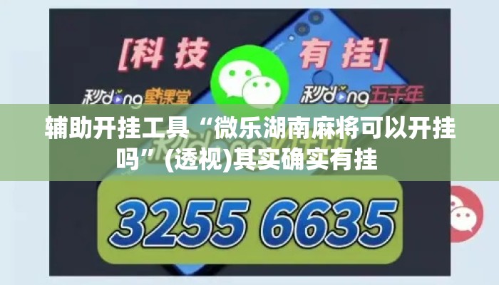 辅助开挂工具“微乐湖南麻将可以开挂吗”(透视)其实确实有挂 