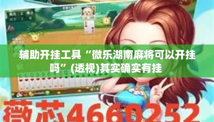 辅助开挂工具“微乐湖南麻将可以开挂吗	”(透视)其实确实有挂 