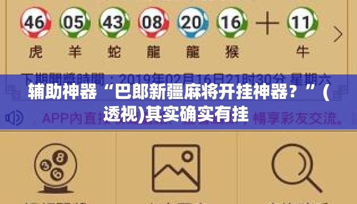 辅助神器“巴郎新疆麻将开挂神器？	”(透视)其实确实有挂 