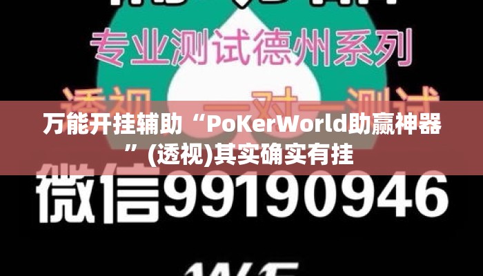 万能开挂辅助“PoKerWorld助赢神器”(透视)其实确实有挂 