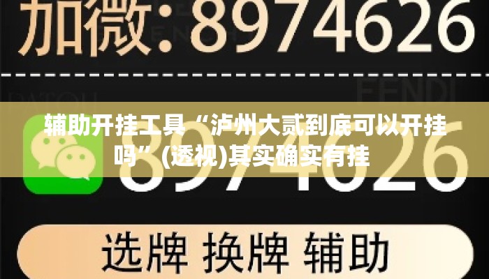 辅助开挂工具“泸州大贰到底可以开挂吗”(透视)其实确实有挂 