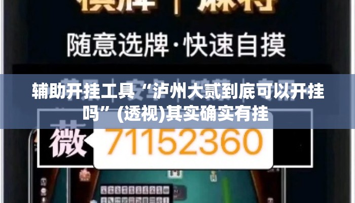 辅助开挂工具“泸州大贰到底可以开挂吗”(透视)其实确实有挂 
