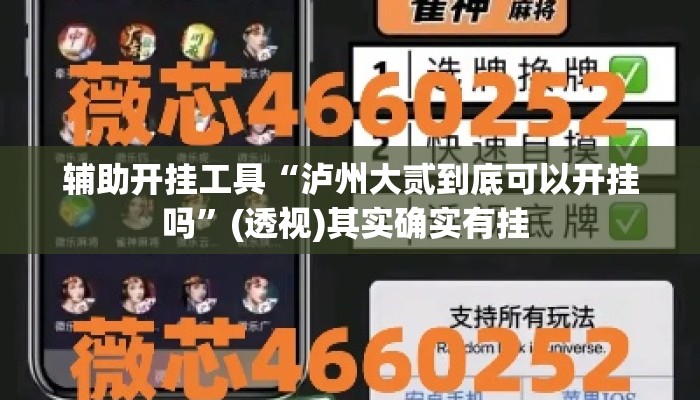 辅助开挂工具“泸州大贰到底可以开挂吗”(透视)其实确实有挂 