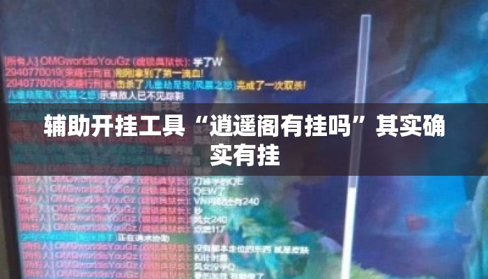 辅助开挂工具“逍遥阁有挂吗	”其实确实有挂