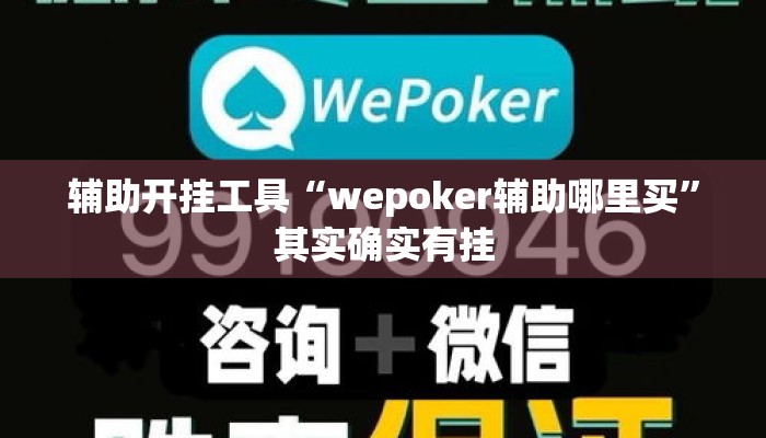辅助开挂工具“wepoker辅助哪里买”其实确实有挂