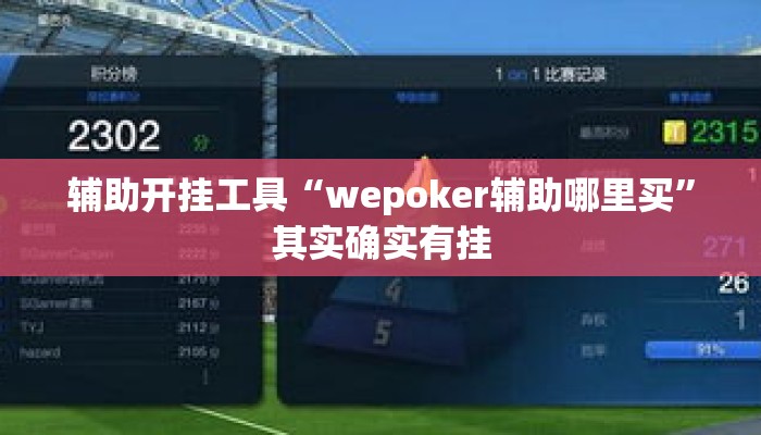 辅助开挂工具“wepoker辅助哪里买	”其实确实有挂