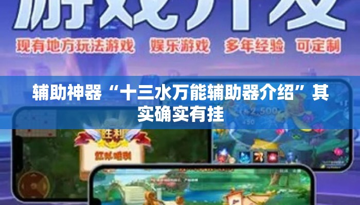 辅助神器“十三水万能辅助器介绍”其实确实有挂