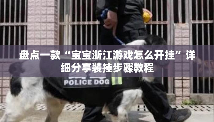 盘点一款“宝宝浙江游戏怎么开挂”详细分享装挂步骤教程