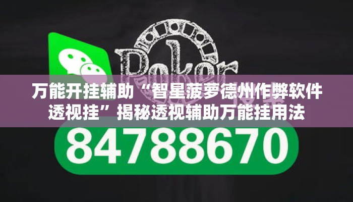 万能开挂辅助“智星菠萝德州作弊软件透视挂”揭秘透视辅助万能挂用法