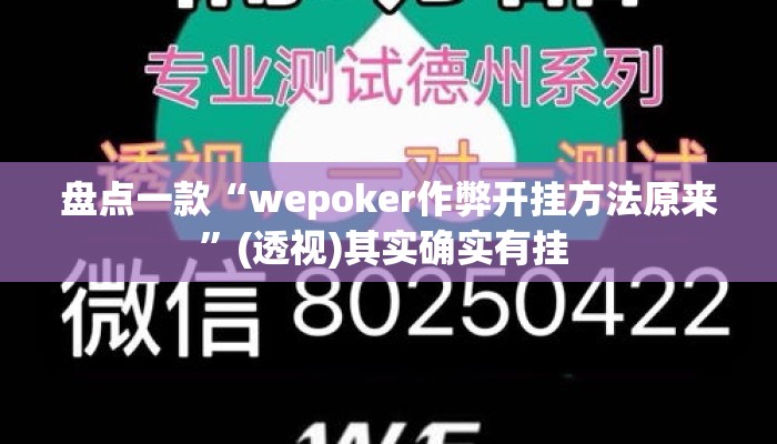 盘点一款“wepoker作弊开挂方法原来	”(透视)其实确实有挂 
