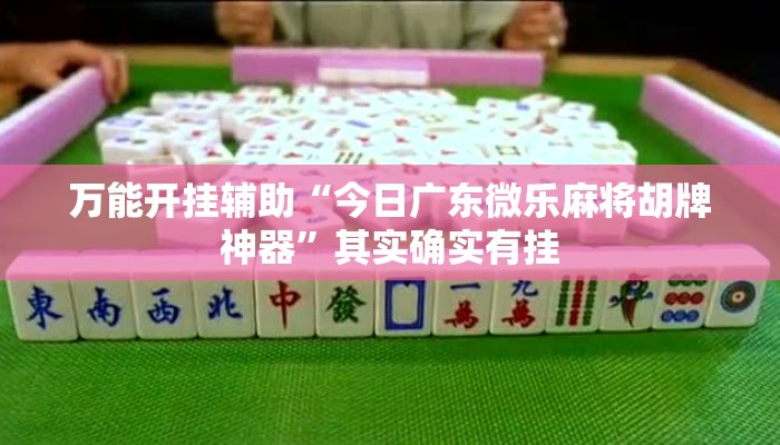 万能开挂辅助“今日广东微乐麻将胡牌神器”其实确实有挂