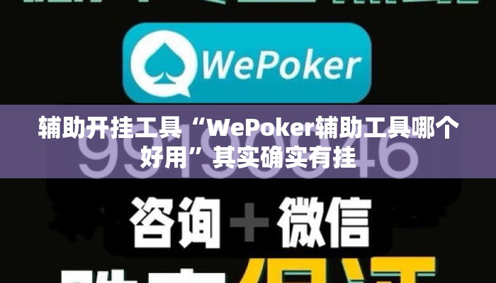 辅助开挂工具“WePoker辅助工具哪个好用”其实确实有挂