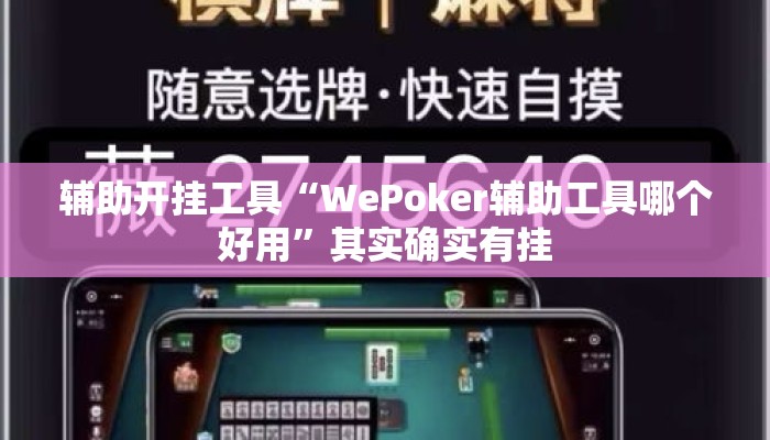 辅助开挂工具“WePoker辅助工具哪个好用”其实确实有挂