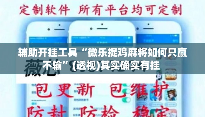 辅助开挂工具“微乐捉鸡麻将如何只赢不输”(透视)其实确实有挂 