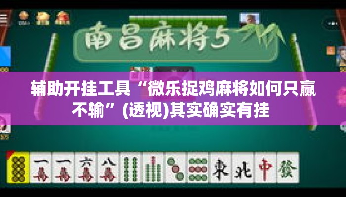 辅助开挂工具“微乐捉鸡麻将如何只赢不输”(透视)其实确实有挂 