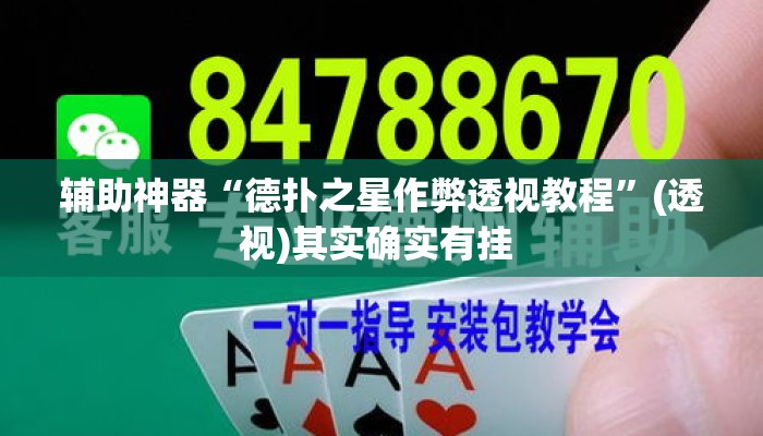 辅助神器“德扑之星作弊透视教程”(透视)其实确实有挂 