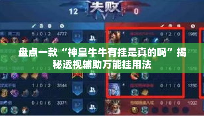 盘点一款“神皇牛牛有挂是真的吗”揭秘透视辅助万能挂用法