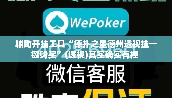 辅助开挂工具“德扑之星德州透视挂一键购买”(透视)其实确实有挂 