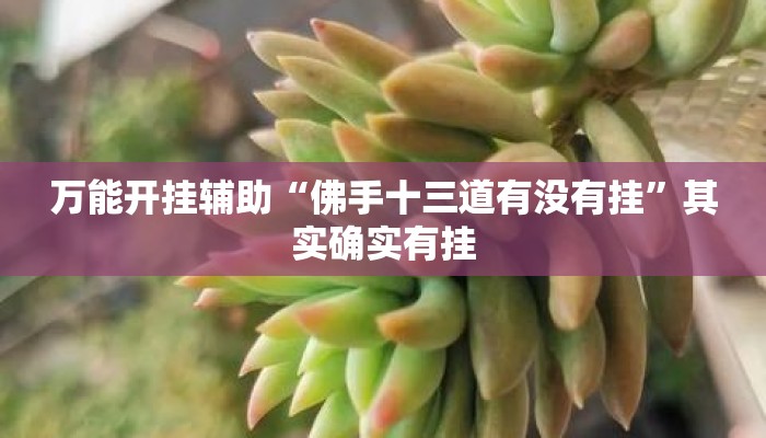 万能开挂辅助“佛手十三道有没有挂”其实确实有挂