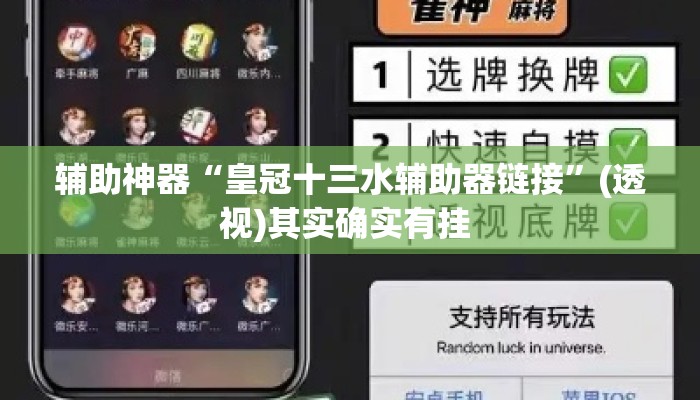 辅助神器“皇冠十三水辅助器链接	”(透视)其实确实有挂 